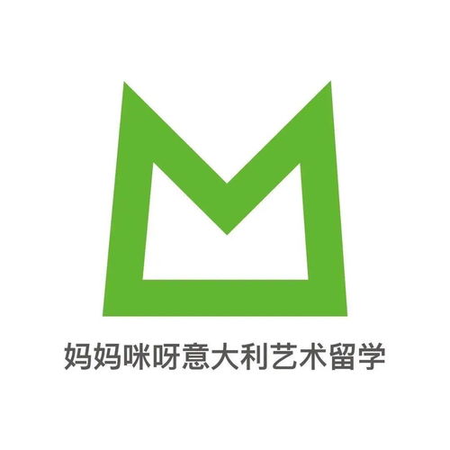 m翻譯版 都靈理工大學2020國際生 2021計劃生招生人數(shù)出爐,他來了