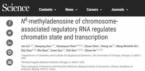 《科學(xué)》發(fā)表同濟(jì)大學(xué)高亞威教授團(tuán)隊(duì)聯(lián)合研究成果